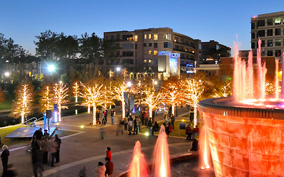 2017 Houston Christmas Lights Tours : Houston Christmas Lights Limo Tours