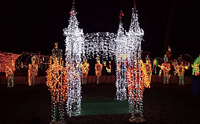 2017 Houston Christmas Lights Tours : Houston Christmas Lights Limo Tours
