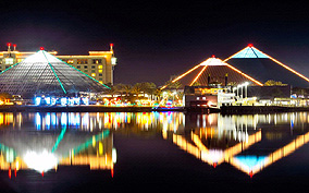 2017 Houston Christmas Lights Tours : Houston Christmas Lights Limo Tours