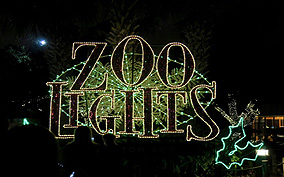 2017 Houston Christmas Lights Tours : Houston Christmas Lights Limo Tours